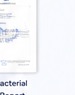 Antibacterial Test Report